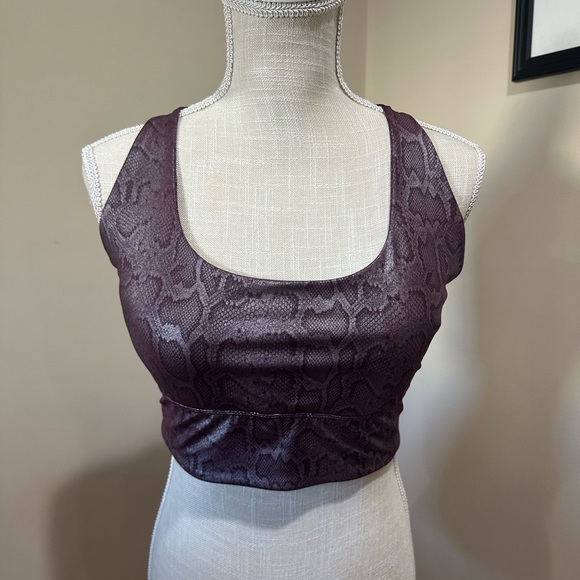 Wine and Silver Snake Workout Set - Picture 2 of 5
